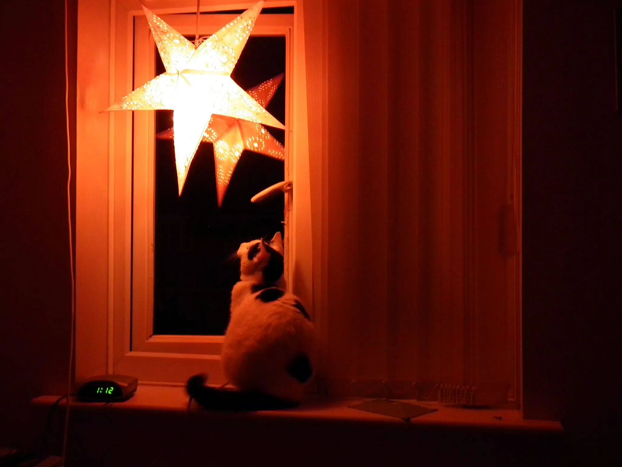 (b) christmas eve & marshall (1)